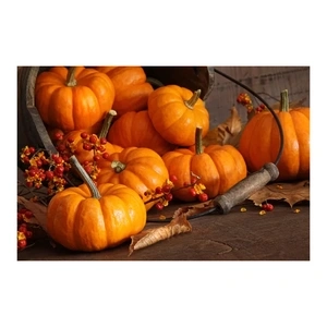 Couleurs d'automne