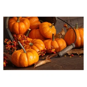 Couleurs d'automne