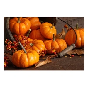 Couleurs d'automne