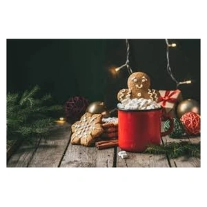 Camp Noël et Nouvel an