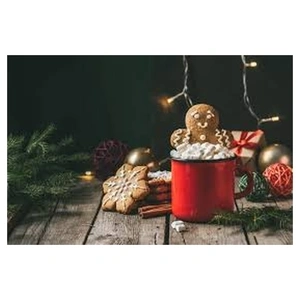 Camp Noël et Nouvel an