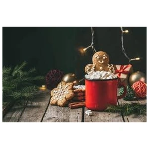 Camp Noël et Nouvel an