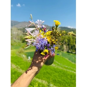 🌸 Célébrons le printemps !🌸