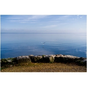⛵ Cap sur le lac!⛵